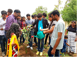 Tree Plantation & Sustainability